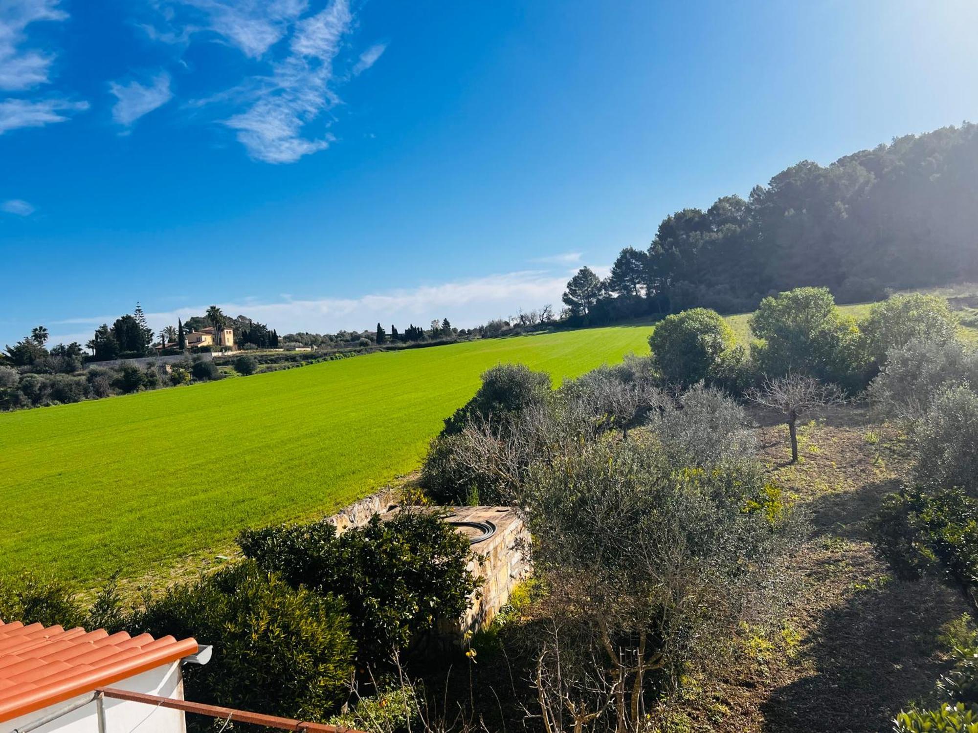 Es Puig Villa Santa Margalida Ngoại thất bức ảnh