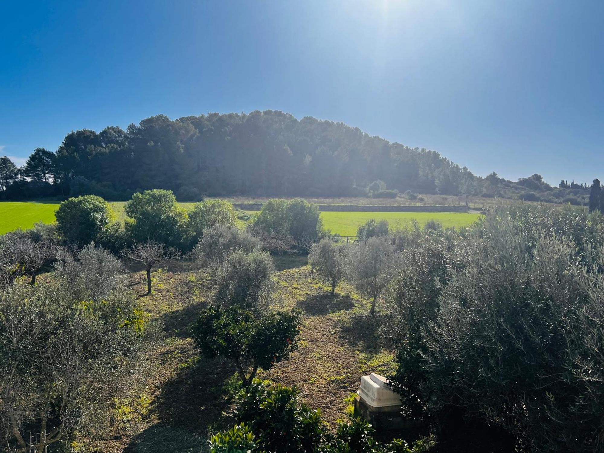 Es Puig Villa Santa Margalida Ngoại thất bức ảnh