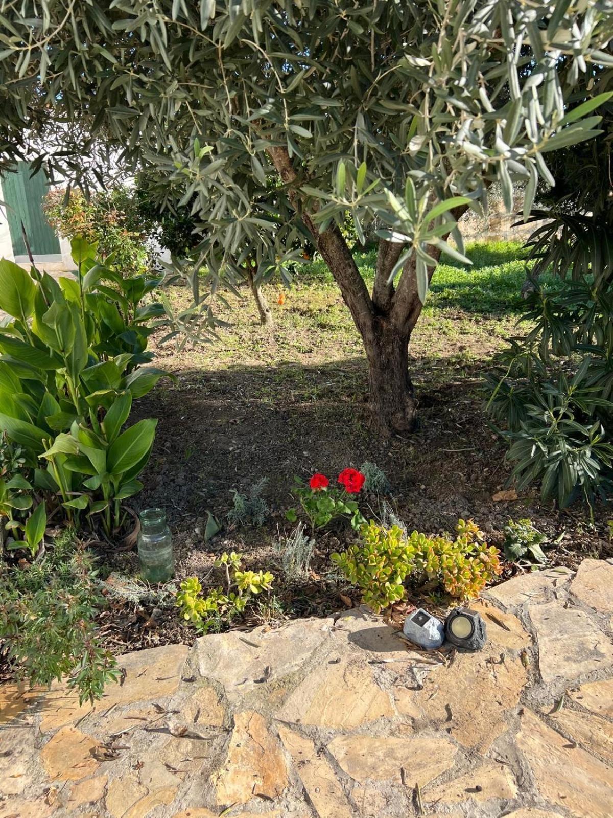 Es Puig Villa Santa Margalida Ngoại thất bức ảnh